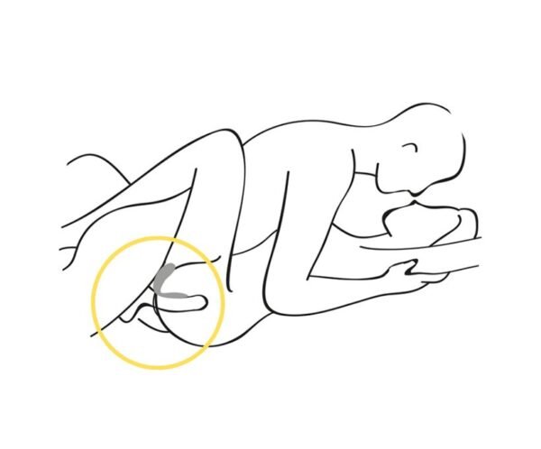 Vibrador Recargable App para el coito Shey