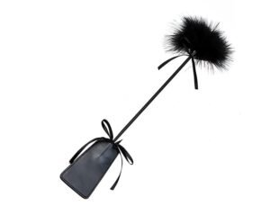 BDSM Paleta y Pluma