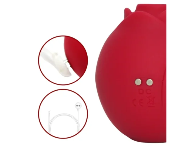 Vibrador recargable App Succionador Rosa