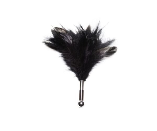 BDSM Pluma caricias