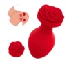 Plug Vibrador Silicona Recargable